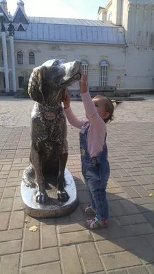 Белый Бим - один из символов Воронежа | Тревел на всю голову | Дзен