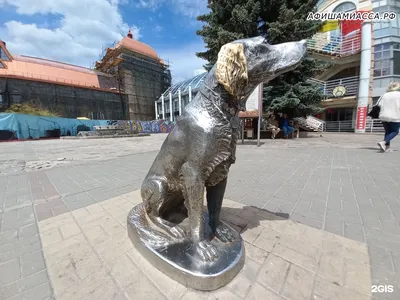 В Воронеже ко Дню города установят памятник выдающемуся писателю Гавриилу  Троепольскому - KP.RU