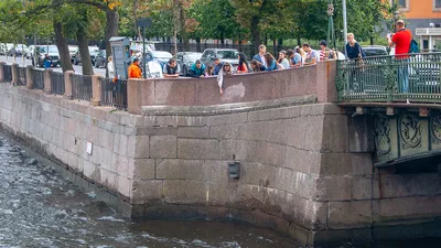 Жители Петербурга утеплили шарфом и варежками памятник Чижику-Пыжику - KP.RU