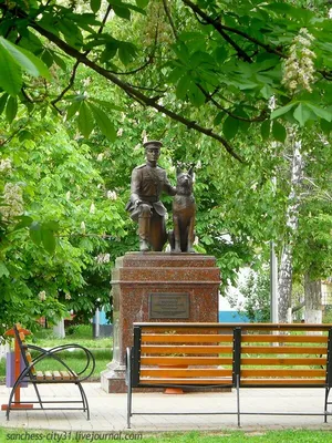 Памятник честному гаишнику в Белгороде - фото, отзывы 2024, рейтинг,  телефон и адрес