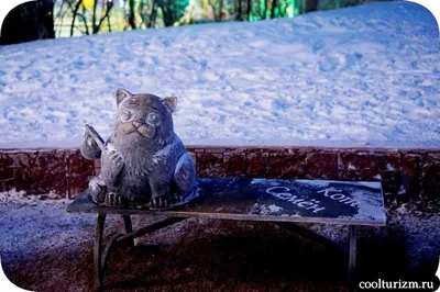 Памятник коту Семену: от Кремля пешком - МК Мурманск