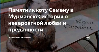 Памятник коту-путешественнику Семёну, который прошел более 2000 км, чтобы  вернуться домой | Дегустаторы путешествий: Юля и Марк | Дзен