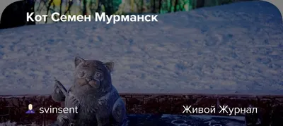 4 Мурманск. Кот Семён и мэр Веллер - YouTube