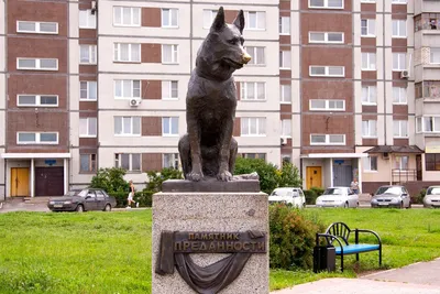 Фото: Памятник Преданности, памятник, мемориал, Самарская область, Тольятти,  улица Льва Яшина — Яндекс Карты