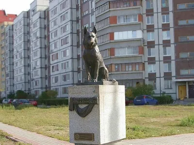 Памятник Преданности в городе Тольятти