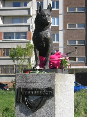 Памятник верности Тольятти фото фото