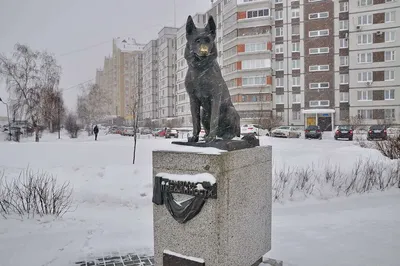 Фото: Памятник Преданности, памятник, мемориал, Самарская область, Тольятти,  улица Льва Яшина — Яндекс Карты