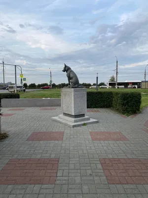 Самому верному псу, научившему нас любви и преданности». В Тольятти стоит памятник  верности овчарке, ждавшей 7 лет своих хозяев | Собакин город | Дзен