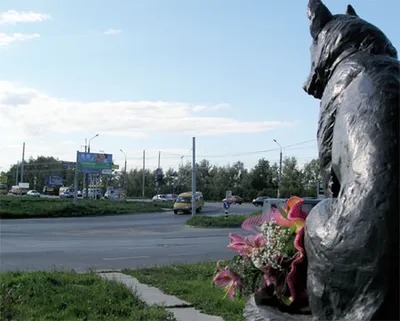 Памятник преданности в Тольятти, Южное ш. - фото, отзывы 2024, рейтинг,  телефон и адрес