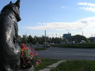 Фото: Памятник Преданности, памятник, мемориал, Самарская область, Тольятти,  улица Льва Яшина — Яндекс Карты