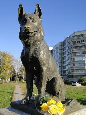 Памятник Преданности, памятник, мемориал, Самарская область, Тольятти,  улица Льва Яшина — Яндекс Карты