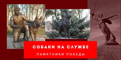 Памятник собаке Павлова (Санкт-Петербург) — Википедия