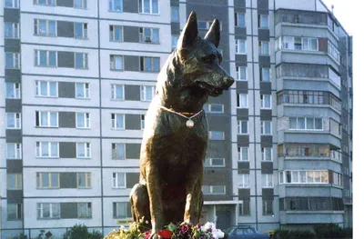 Памятник Преданности, памятник, мемориал, Самарская область, Тольятти,  улица Льва Яшина — Яндекс Карты