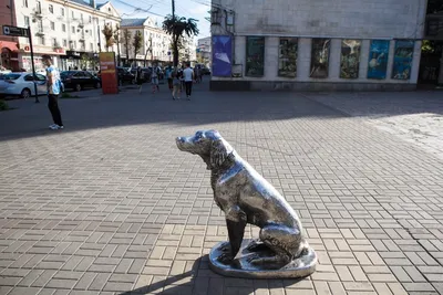 Памятники на могилу в Воронеже из гранита фото и цены. Акрополь