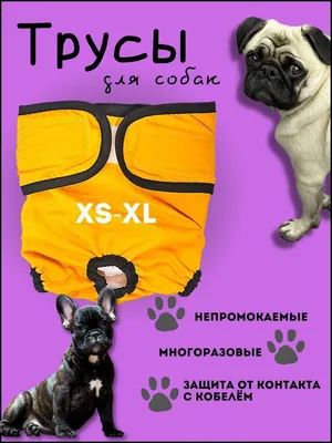 Купить M-Pets подгузники для собак Male Dog - М, черно-белые, 12 шт по  низкой цене в интернет-магазине МаркетСВ всего за 630.00 ₽ рублей