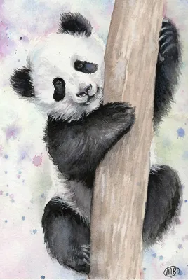 Panda Wall Art Cute Panda Gardening Printable, Nursery Digital Instant  Download, Digital Art Nursery PNG - Etsy