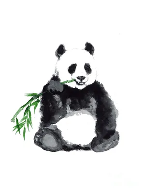 Giant panda minimalist painting Painting by Joanna Szmerdt - Fine Art  America