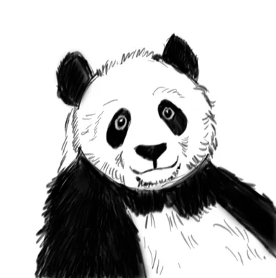 How To Draw A Panda - YouTube