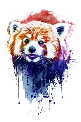 Cool Panda Bear Painting' Poster, picture, metal print, paint by Jensen Art  | Displate