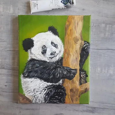 Pin by красивые картинки и множество on панды | Panda art, Cute panda  wallpaper, Panda drawing