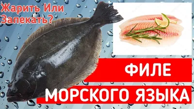 ᐈ Филе пангасиуса, производство Китай, купить оптом за 253.00 p. в магазине  Продуктовая база ShopProdukt