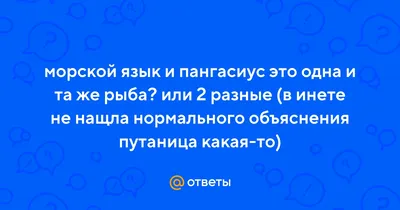 Андрей Федоров on Instagram: \"Пангасиус – это недорогая рыба,  преимущественно выращивающаяся в юго-восточной Азии. В настоящее время  польза и вред пангасиуса вызывают активную полемику, поскольку вследствие  определенных условий ее разведения рыба, несмотря