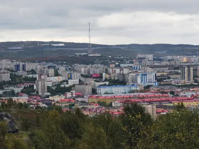 В порту Мурманска хотят создать арктический кластер за 5 млрд рублей