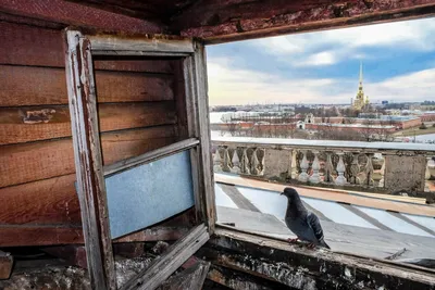 На выходные в Санкт-Петербург: 10 мест, которые стоит посетить в городе на  Неве | myDecor