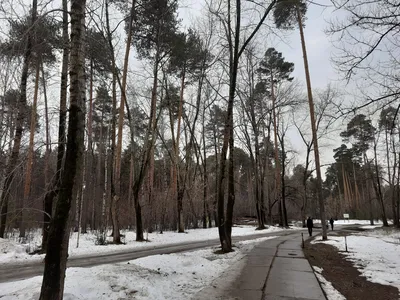 Сауна Баня на Луговой Тула, Луговой переулок, 5/1 рп. Бородинский 🚩 цена  от 500 руб., вместимость до 6 чел., адреса и телефоны 💦 саун и бань ♨️  рядом с Вами на сайте ДАЙ ЖАРУ в Туле