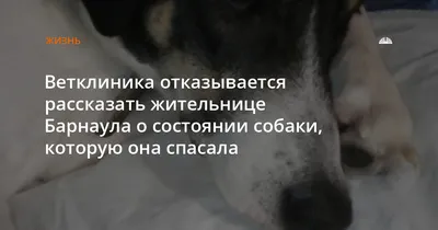 Гепатит С: коротко о важном - БУЗ ВО Медсанчасть «Северсталь