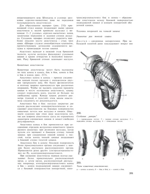 Ветеринарная клиника На Ушаковской | Иркутск