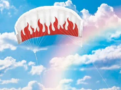 Купить запасной парашют Sky Paragliders SKY SYSTEM III