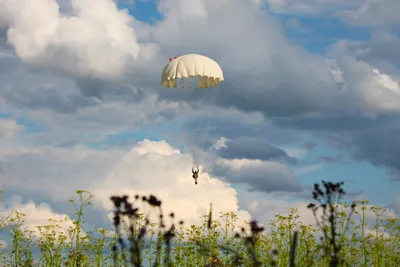 Парашютист на airshow. стоковое изображение. изображение насчитывающей  опасность - 33483477