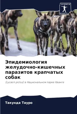 Антигельминтик для собак Elanco Дронтал плюс 2таблетки купить по цене 729 ₽  с доставкой в Москве и России, отзывы, фото