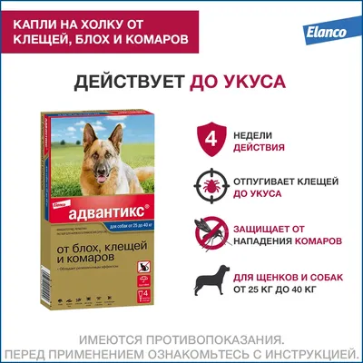 Адвокат ® капли для собак 25-40 кг. 3 пип. в упак. купить по низкой цене с  доставкой - БиоСтайл