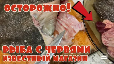 рыбка🐟 #паразиты #предосторожность #рек | TikTok