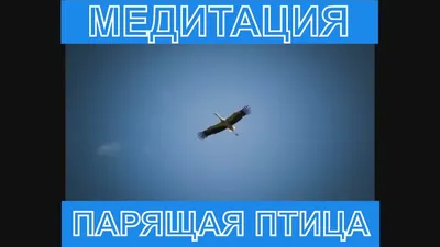 Электрический попугай вращающаяся подвесная летающая птица (ID#1938121663),  цена: 149 ₴, купить на Prom.ua