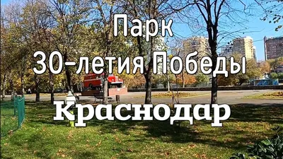 Как парк 40-летия Октября в Краснодаре стал «Солнечным островом» и что тут  не так — Туподар Краснодар