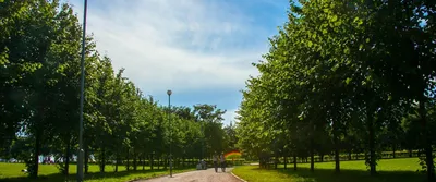 Пляж в парке 300-летия Санкт-Петербурга. Можно ли купаться, фото, видео,  как добраться, отели — Туристер.ру