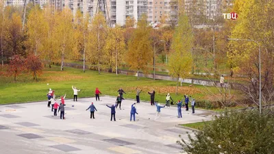 Камень с памятной табличкой в честь открытия парка 850-летия Москвы в Москве:  На карте, Описание, Фото, Видео | Pin-Place.com