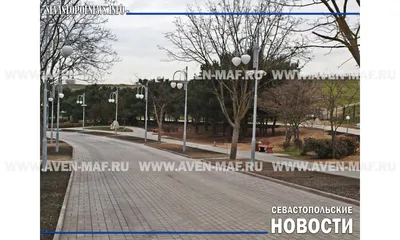 Фото: Амфитеатр, достопримечательность, Севастополь, парк имени Анны  Ахматовой — Яндекс Карты