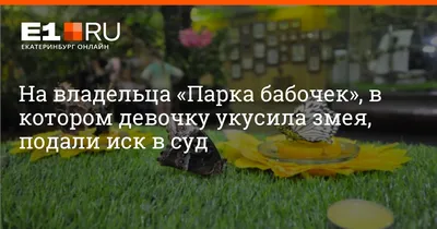 Парк бабочек в Екатеринбурге: адрес, время работы, как добраться, описание.