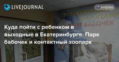 Парк бабочек: бесплатные купоны на скидку - промокоды и акции от Гилмон