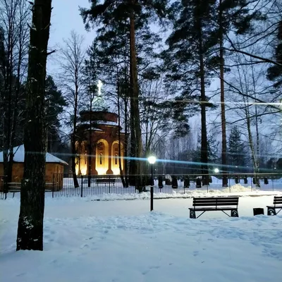 File:Парк Берендеевка в хорошую погоду, 2016 год.jpg - Wikimedia Commons