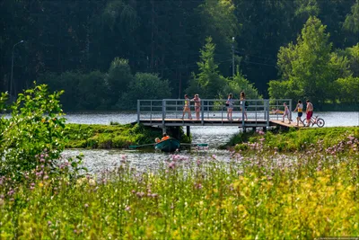 Парк Берендеевка в Костроме размежевали спустя 11 лет — Новости Костромы