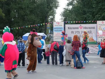 Люди висели вниз головами: в кемеровском парке остановился аттракцион -  KP.RU