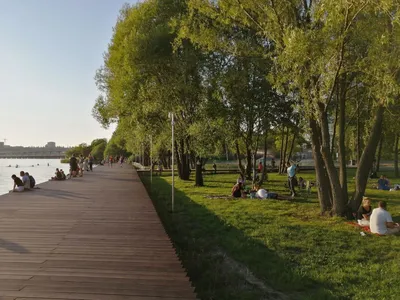 В воронежском парке «Дельфин» планируют построить зону барбекю, вейк-парк и  организовать глемпинг | Горком36 новости Воронеж