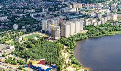 Почему в парке «Дельфин» решили не ставить колесо обозрения?