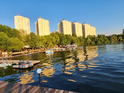 Дельфин, парк культуры и отдыха, ул. Остужева, 2В, Воронеж — Яндекс Карты