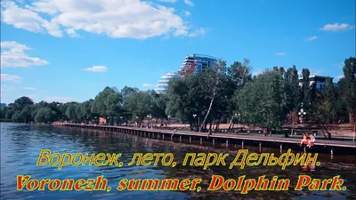 Основные работы в парке «Дельфин» завершатся к концу осени | 36on.ru